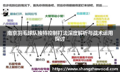 南京羽毛球队独特控制打法深度解析与战术运用探讨