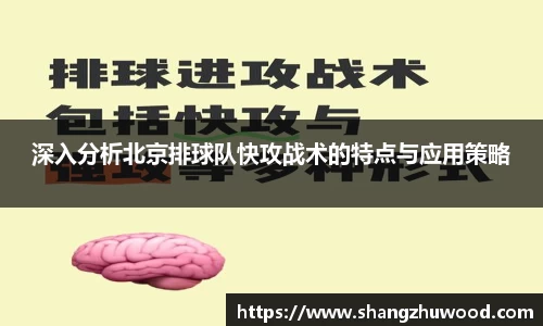 深入分析北京排球队快攻战术的特点与应用策略
